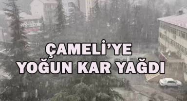 Çameli'nde yoğun kar yağışı etkili oldu