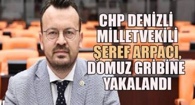 CHP Denizli milletvekili Şeref Arpacı, Domuz Gribine Yakalandı