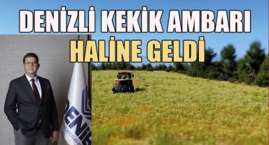 Denizli’nin kekik ihracatı 55 milyon dolar seviyesinde