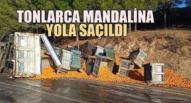 Kopan dorsedeki tonlarca mandalina yola saçıldı