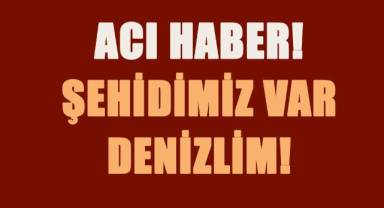 Kuzey Irak Hakurk Pençe Kilit Hareket Bölgesinde düzenlediği operasyonlar esnasında Denizlili askerimiz şehit oldu