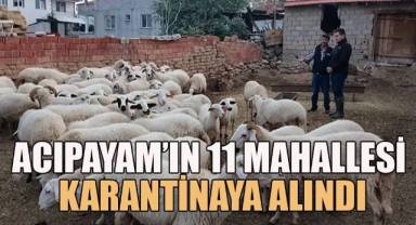 Acıpayam’ın 11 mahallesi çiçek karantinasına alındı