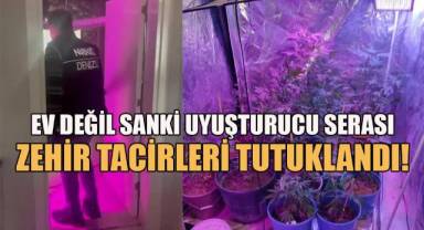 Evin bir odasını uyuşturucu serasına çeviren zehir tacirleri tutuklandı