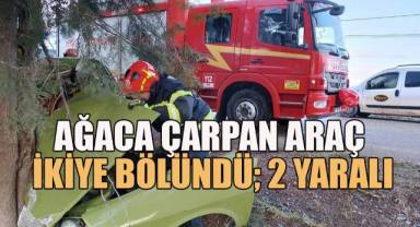 Yol kenarındaki ağaca çarpan otomobil hurdaya döndü: 2 yaralı