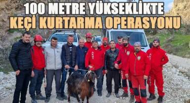 100 metre yükseklikteki keçi kurtarma operasyonu başarıyla sonuçlandı