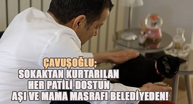 CHP Büyükşehir Belediye Başkan adayı; Sokaktan kurtarılan her patili dostun aşı ve mama masrafı belediyeden!