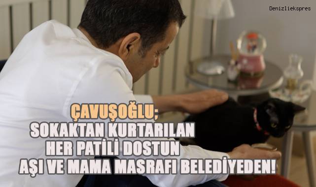 CHP Büyükşehir Belediye Başkan adayı; Sokaktan kurtarılan her patili dostun aşı ve mama masrafı belediyeden!