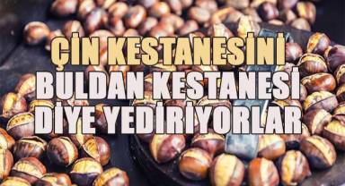 Buldan kestanesi coğrafi işaret belgesiyle korunacak