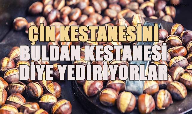 Buldan kestanesi coğrafi işaret belgesiyle korunacak