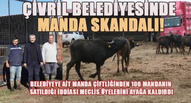Çivril'de büyük umutlarla kurulan çiftlikteki mandalar satıldı