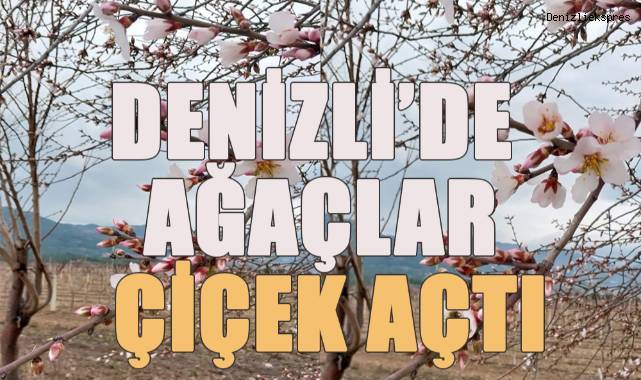 Denizli’de Şubat ayında ağaçlar çiçek açtı