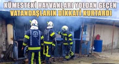 Kümesteki hayvanları yoldan geçen vatandaşların dikkati kurtardı