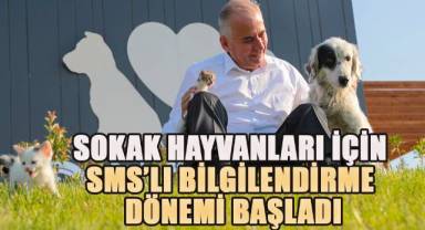 Sokak hayvanları için SMS’li bilgilendirme dönemi başladı
