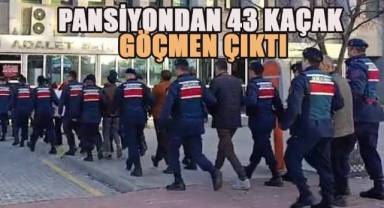 Yasadışı yollarla yurda göçmen sokan organizatörleri JASAT yakalandı