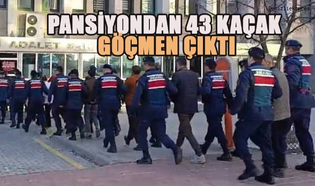 Yasadışı yollarla yurda göçmen sokan organizatörleri JASAT yakalandı