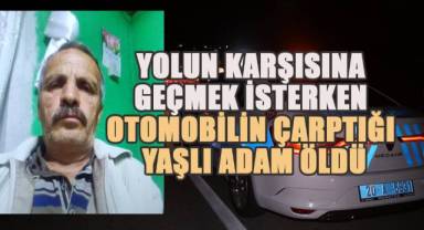 Yolun karşısına geçmek isterken otomobilin çarptığı yaşlı adam öldü