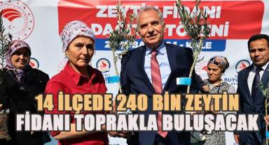 Başkan Zolan, “Zeytin üretiminde öncelikli hedef Türkiye’de ilk 10”