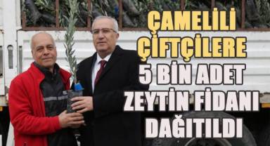Çamelili çiftçilere 5 bin adet zeytin fidanı dağıtıldı