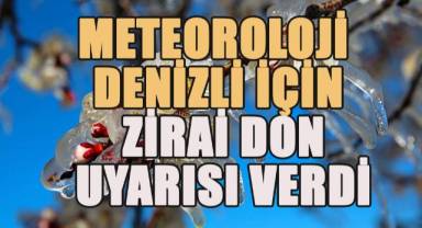 Meteoroloji Denizli için zirai don uyarısı verdi