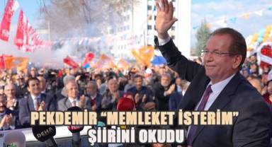 Pekdemir;