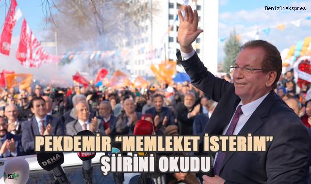Pekdemir;