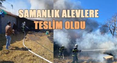 Samanlık alevlere teslim oldu