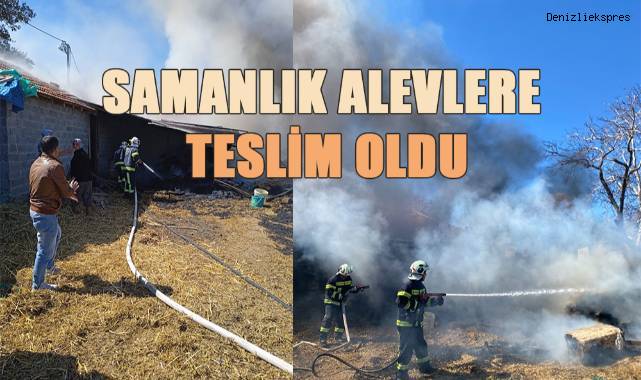 Samanlık alevlere teslim oldu