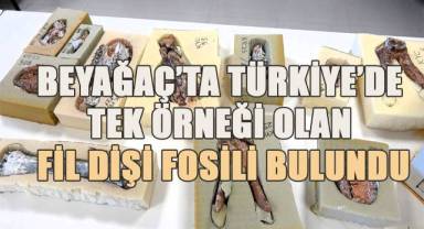 Türkiye’deki 38 farklı kazıdan toplanan 6 bin iskelet öğrencilerin ve bilimin hizmetinde