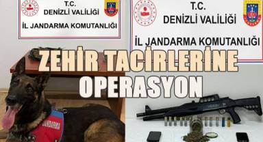 Zehir tacirlerine Denizli'nin iki ilçesinde operasyon düzenlendi