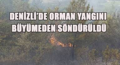 Denizli’de sezonun ilk orman yangını büyümeden söndürüldü