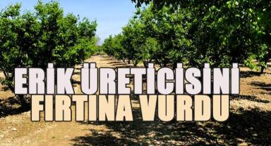 Maliyetlerden dolayı bu yıl sigorta yaptırmayan üreticiler büyük zarara uğradı
