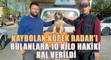 Trüf mantarı avcısı ‘Radar’ Denizli'de bulundu