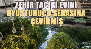 Zehir tacirinin evi uyuşturucu serası çıktı