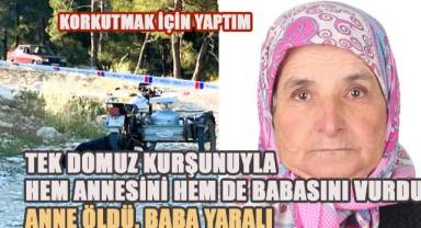 Annenin öldüğü, babanın ise entübe edildiği saldırının faili oğul, “Korkutmak için yaptım