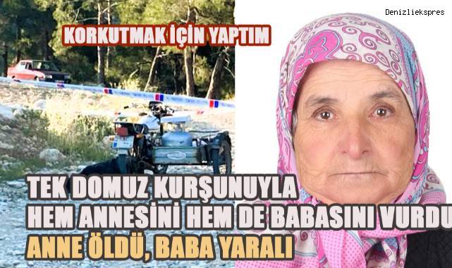 Annenin öldüğü, babanın ise entübe edildiği saldırının faili oğul, “Korkutmak için yaptım