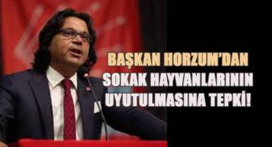 Başkan Horzum’dan sokak hayvanlarının uyutulmasına tepki