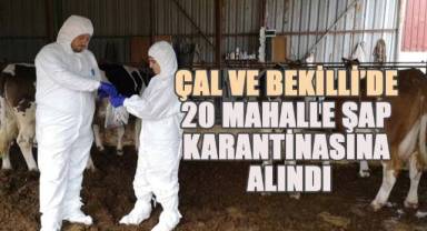 Çal ve Bekilli’de 20 mahalle şap karantinasına alındı