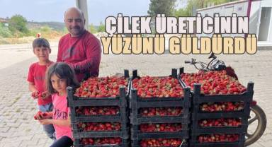 Çilek üreticinin yüzünü güldürdü