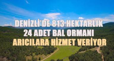 Denizli'de 813 hektarlık 24 adet bal ormanı arıcılara hizmet veriyor
