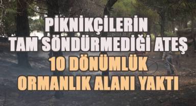 Denizli'de piknik ateşi yangına yol açtı