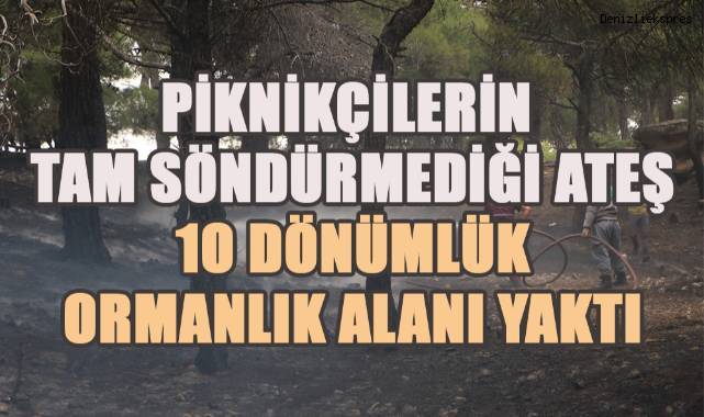 Denizli'de piknik ateşi yangına yol açtı