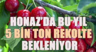İhracatlık kiraz üretim merkezi Honaz'da bu yıl 5 bin ton rekolte bekleniyor