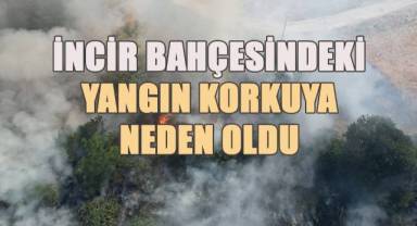 İncir bahçesindeki yangın korkuya neden oldu