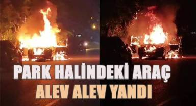 Park halindeki araç alev