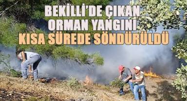 Bekilli'de çıkan orman yangını kısa sürede söndürüldü