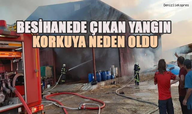 Besihanede çıkan yangın korkuya neden oldu