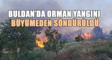 Buldan’da orman yangını büyümeden söndürüldü