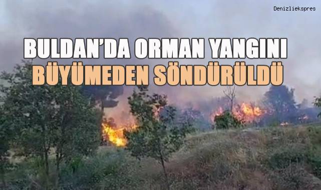 Buldan’da orman yangını büyümeden söndürüldü