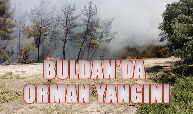 Buldan'da orman yangınını söndürme çalışmaları devam ediyor