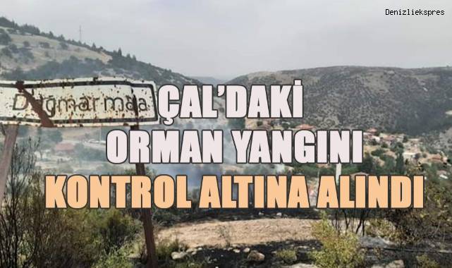 Çal'da çıkan yangında 2 hektar alan zarar gördü
